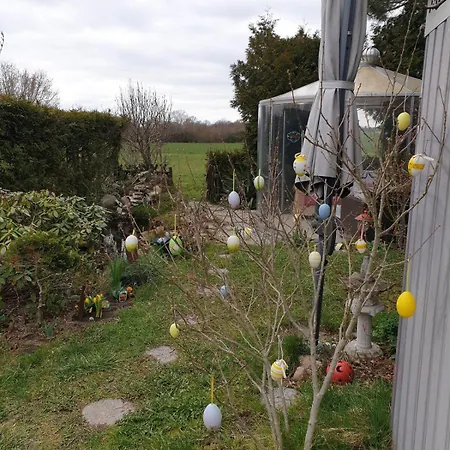 Mit Sommerpool, Terrasse Und Glashaus Holiday home Jesewitz